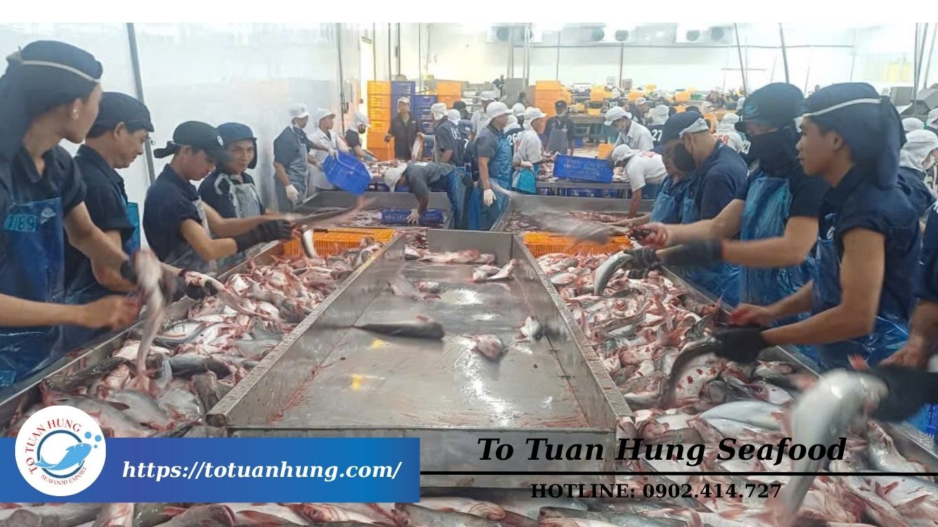 Tại sao chọn bao tử cá Tô Tuấn Hưng Seafood?