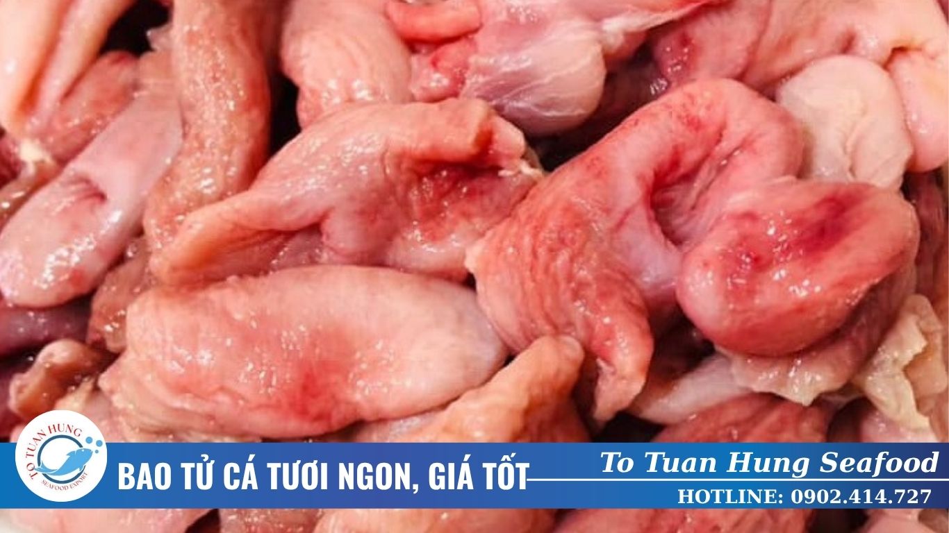 bao tử cá tươi ngon giá tốt