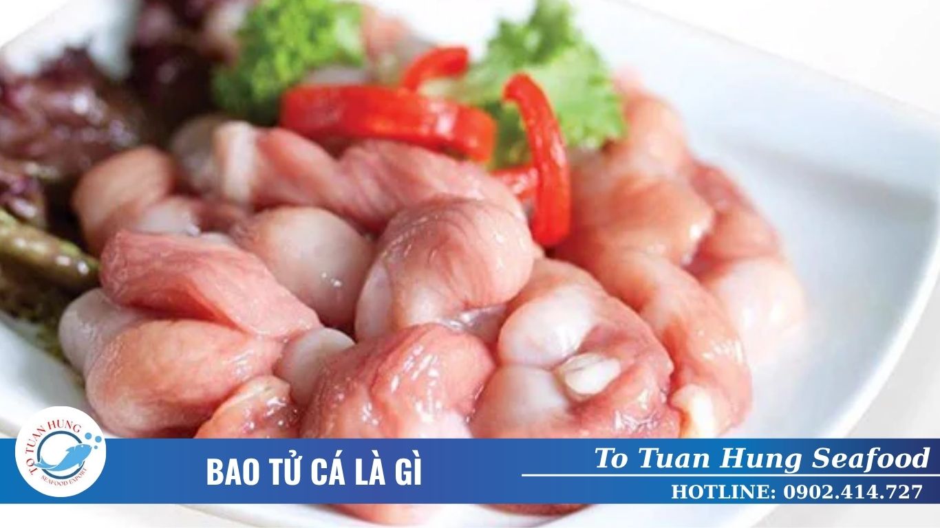 Bao tử cá là gì