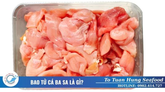 bao tử cá basa là gì