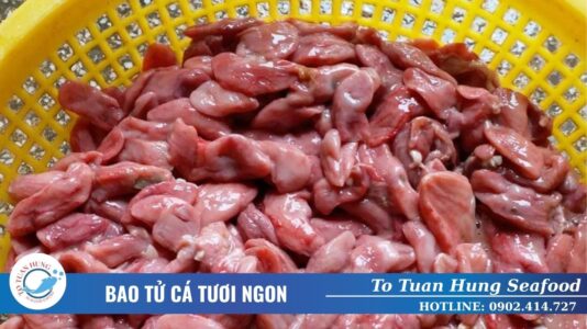 BAO TỬ CÁ TƯƠI NGON