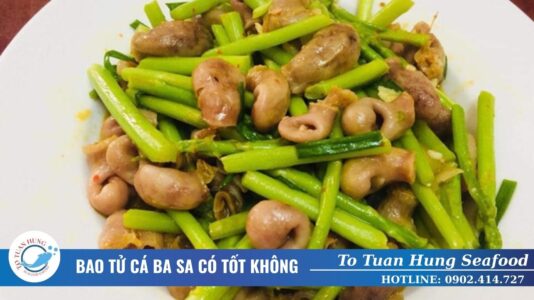 Bao tử cá ba sa có tốt không