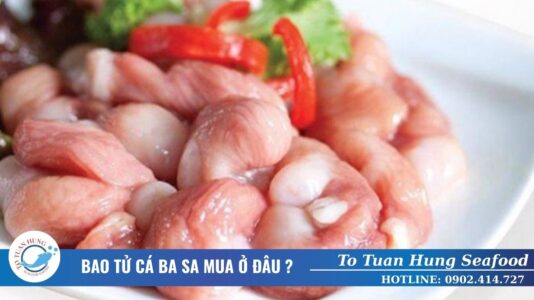 Bao tử cá ba sa mua ở đâu?