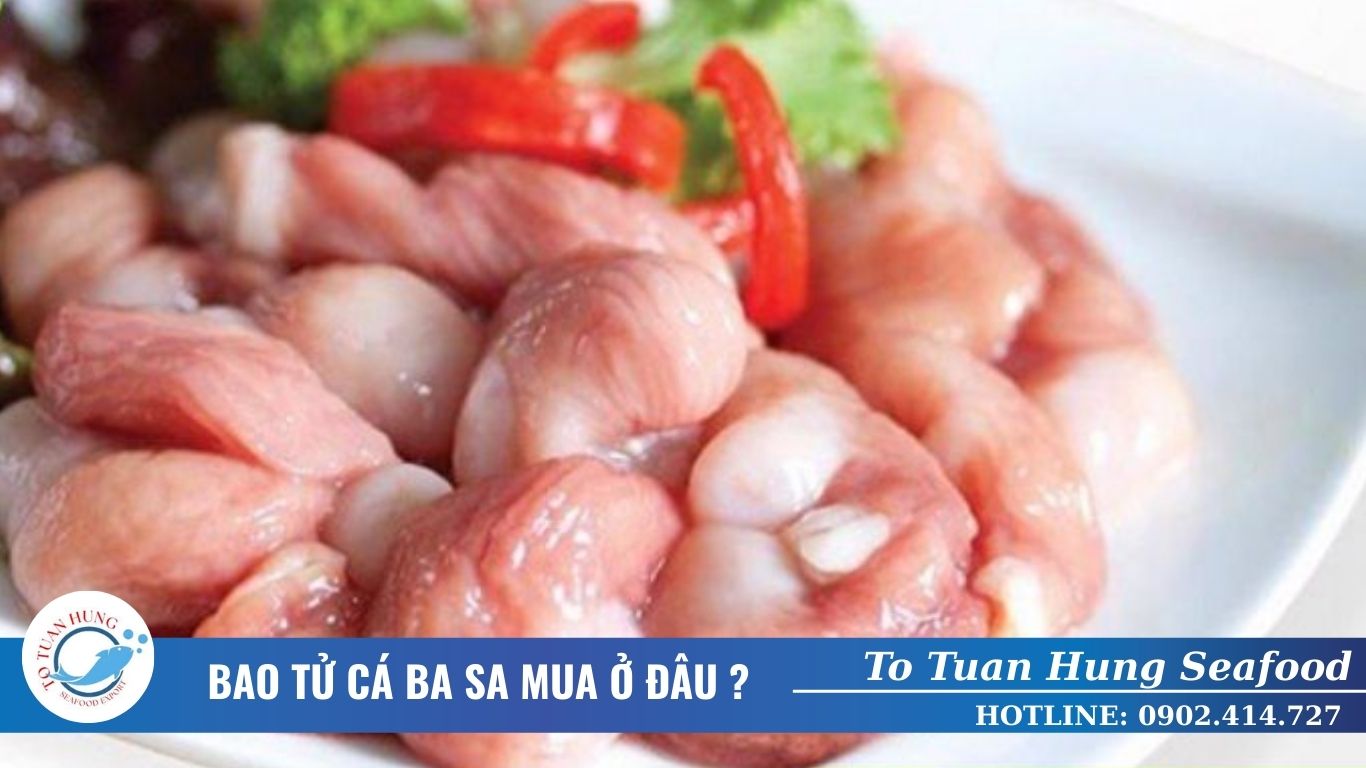 Bao tử cá ba sa mua ở đâu?