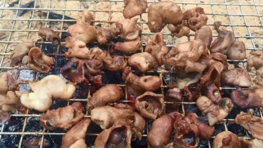 bao tử cá ba sa có bị dai không