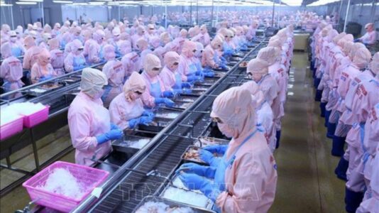 Bao tử cá là phần nào