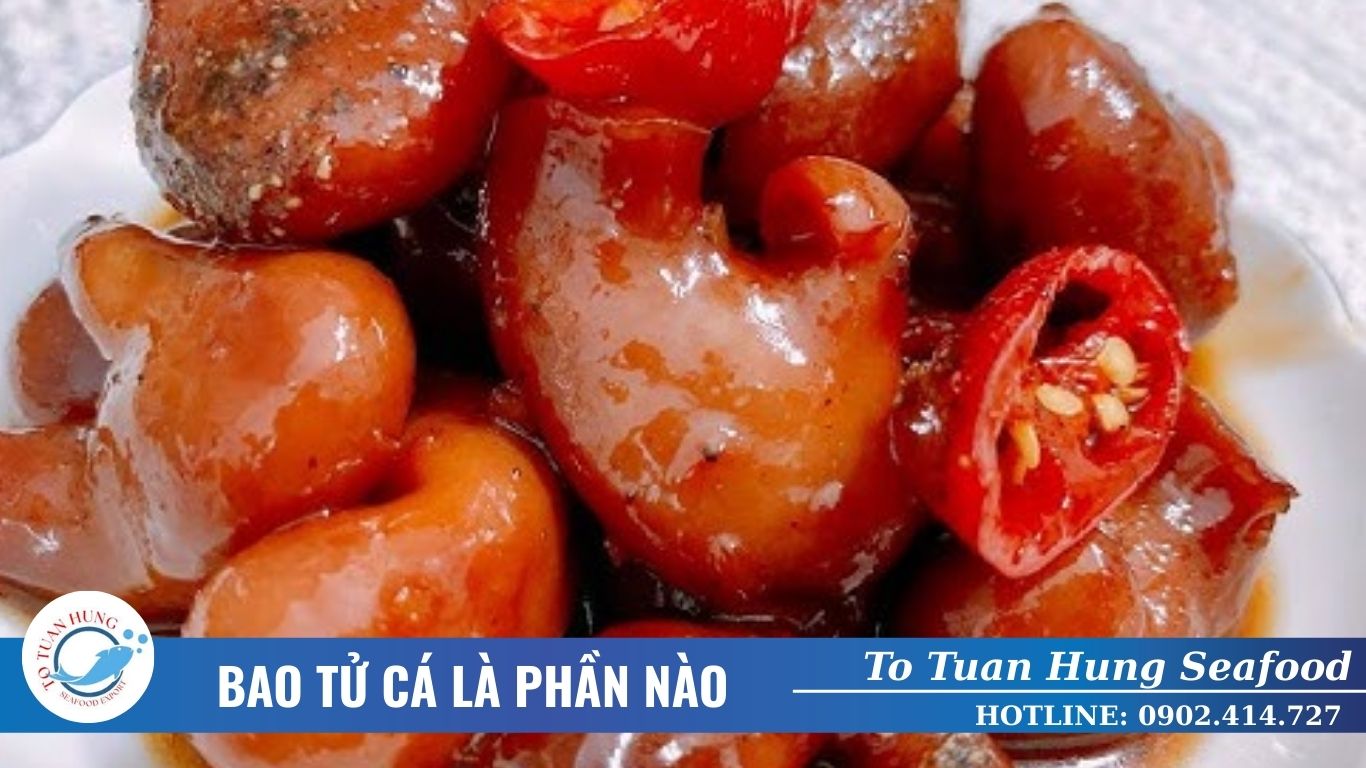 Bao tử cá là phần nào