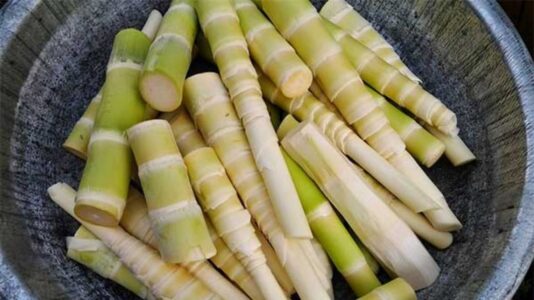 Bao tử cá basa xào măng 