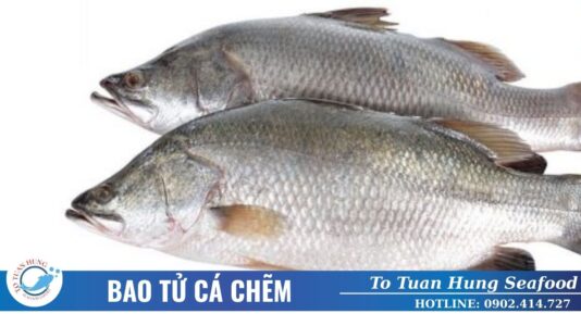 bao tử cá chẽm