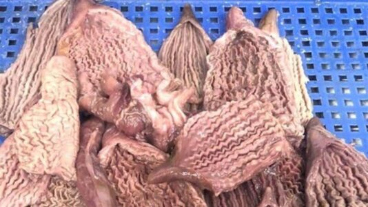 bao tử cá ngừ xào dưa chua​​ 