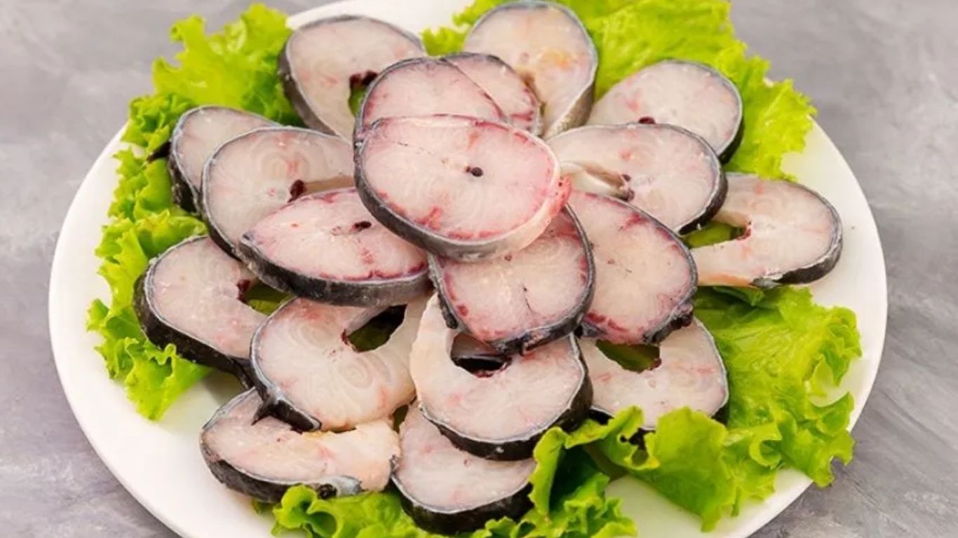 Cá chình biển là cá gì ?