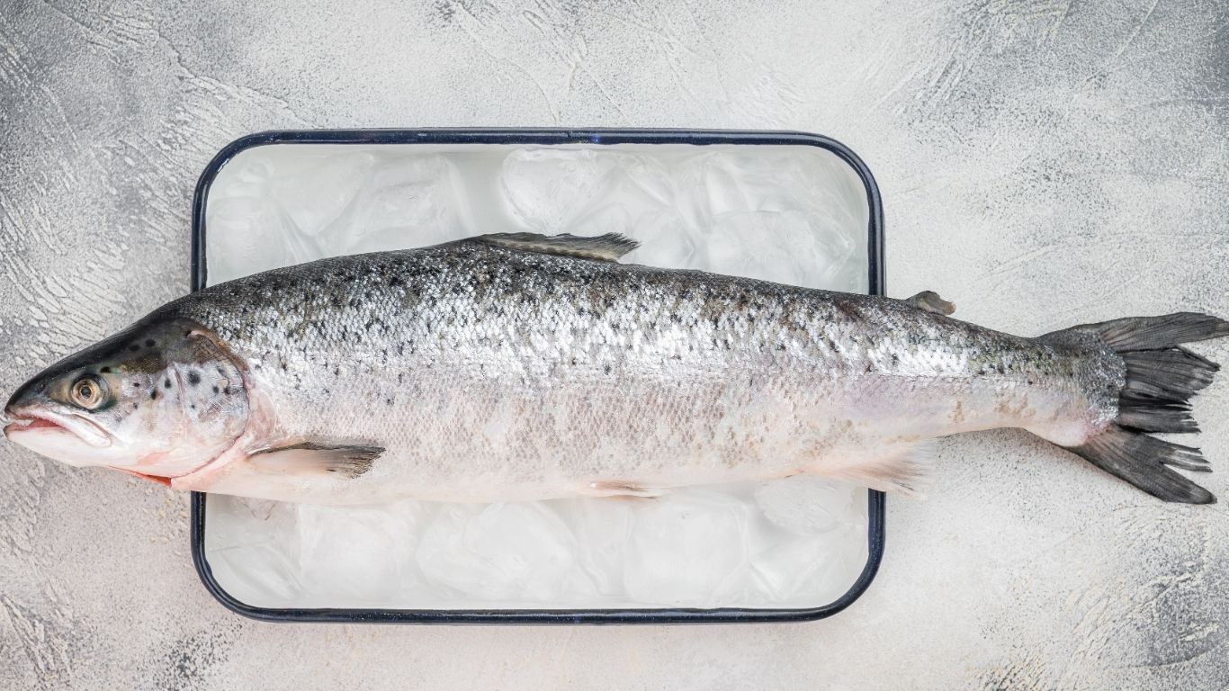 Cách chọn cá hồi nauy chuẩn