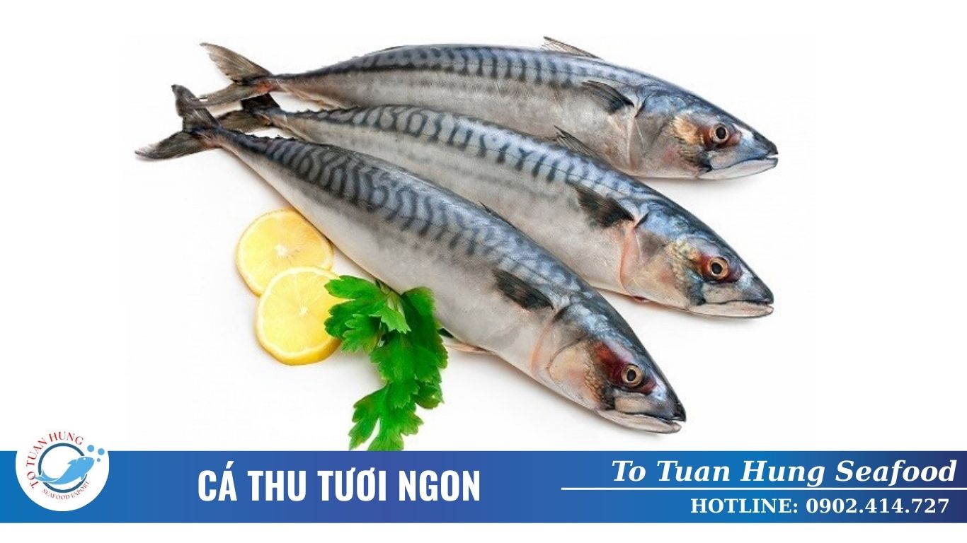 Cá thu cắt khúc tươi ngon