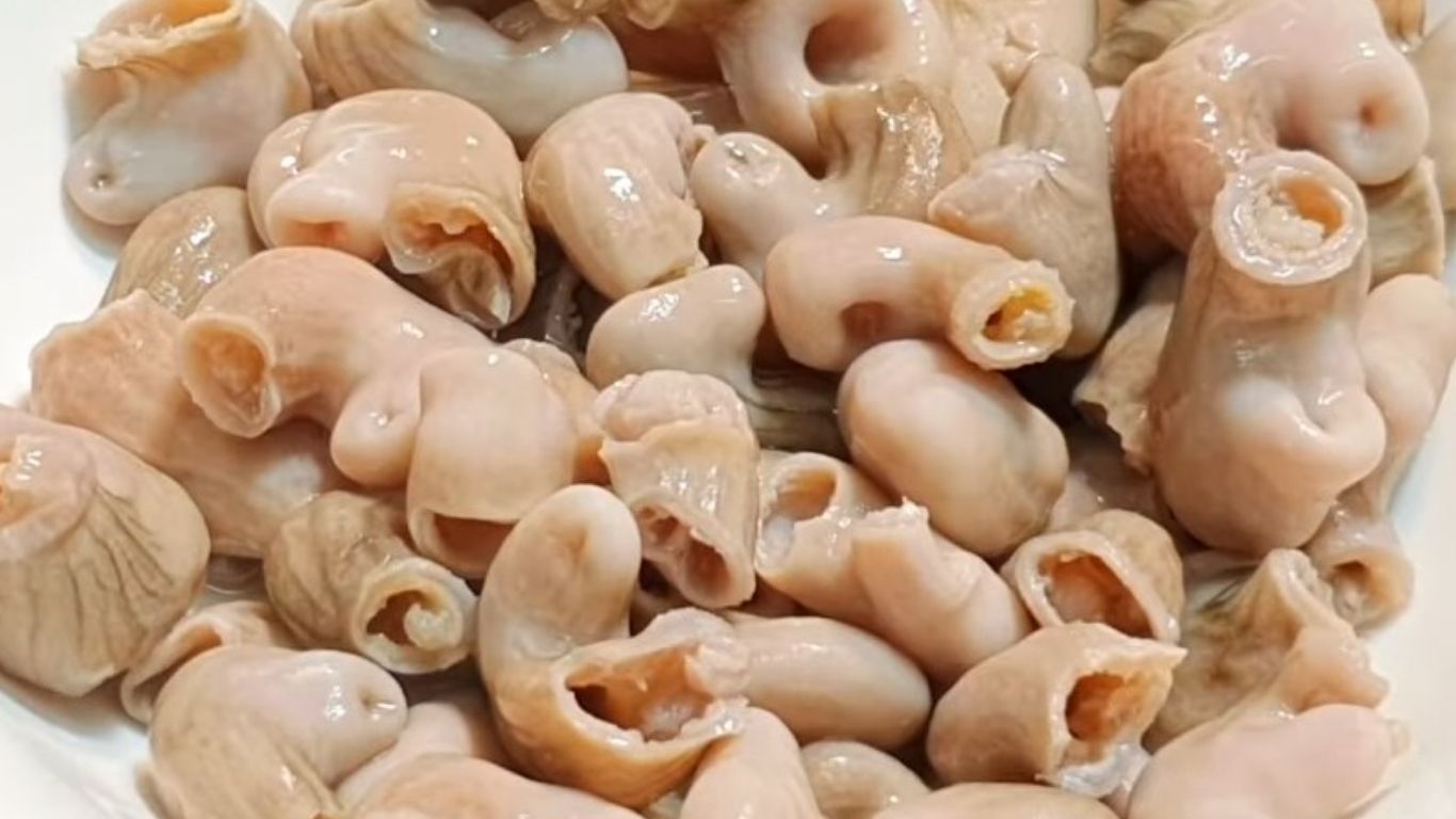 cách luộc bao tử cá 