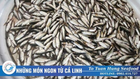 Những Món Ăn Từ Cá Linh Ngon Đậm Vị Miền Tây
