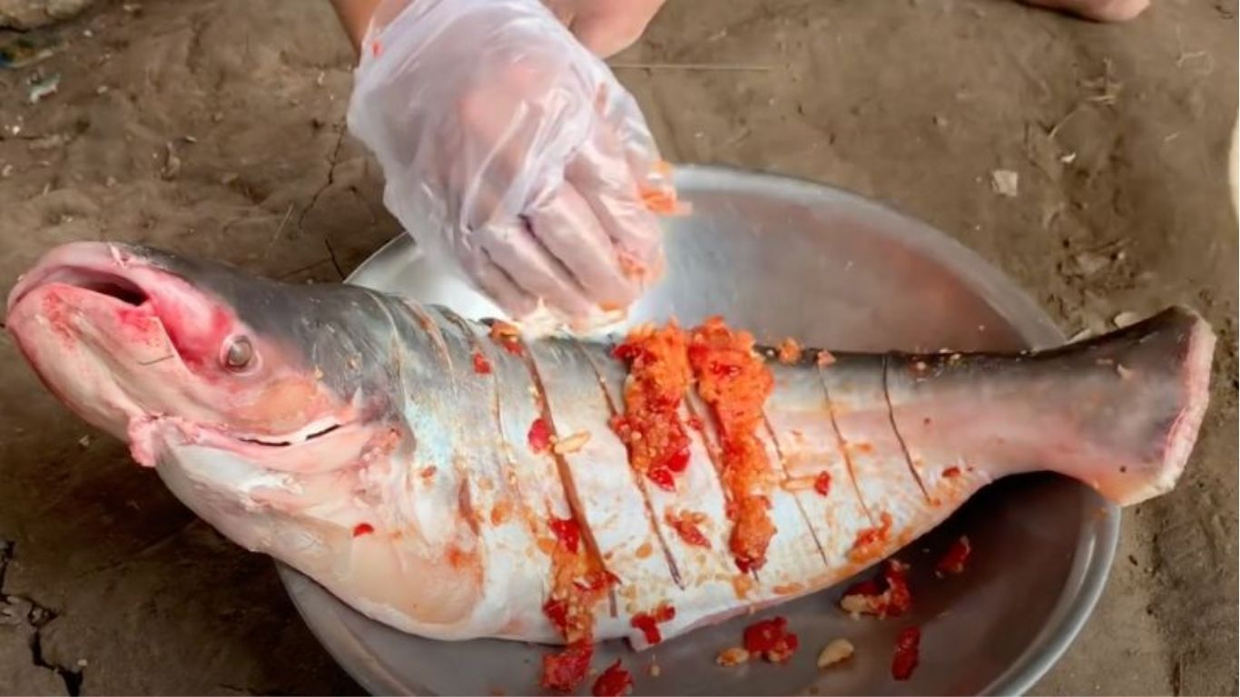 Cách Làm Cá Basa Nướng Muối Ớt Thơm Ngon Chuẩn Vị 